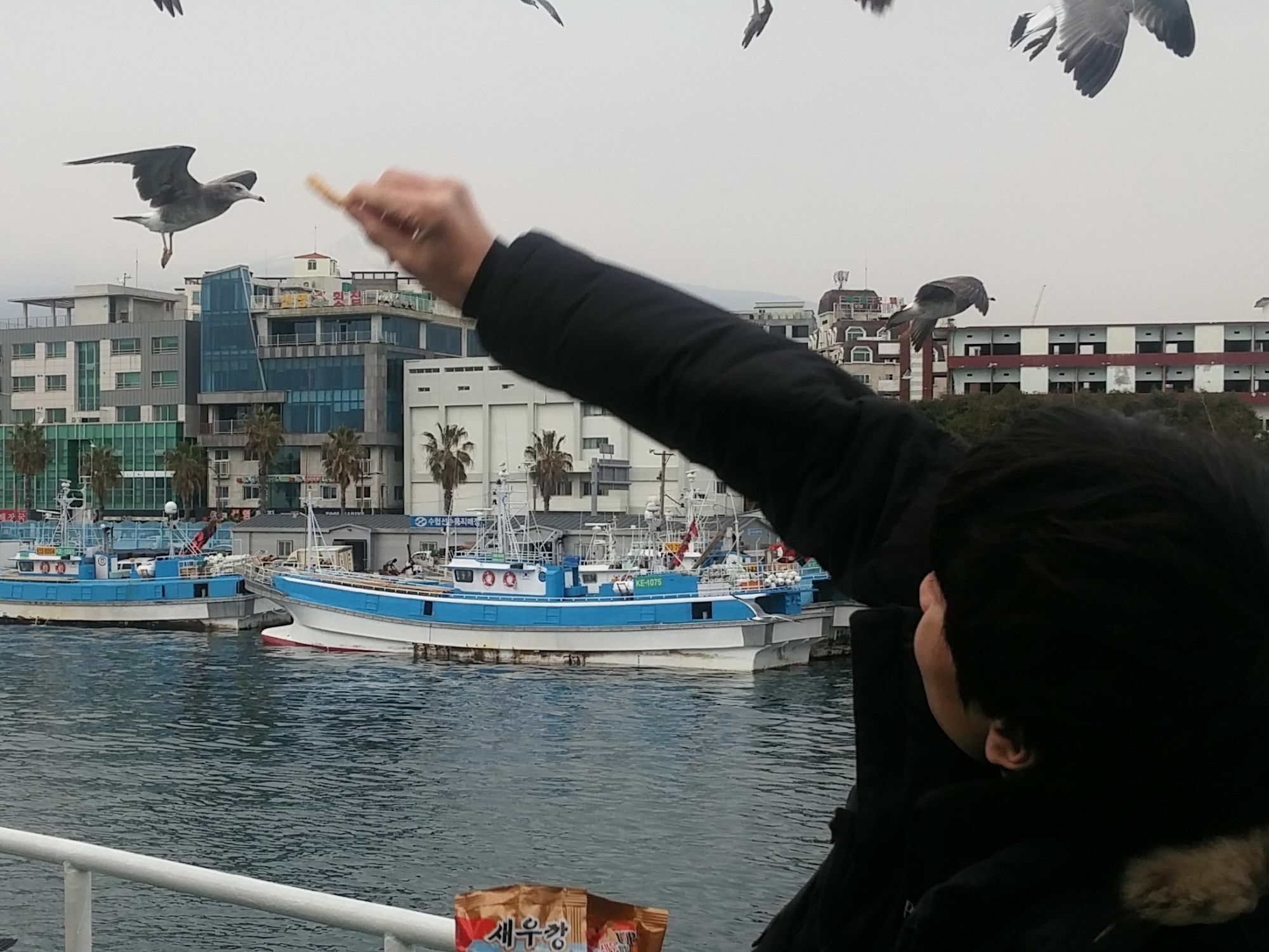 Seom Story Pension Seogwipo Bagian luar foto