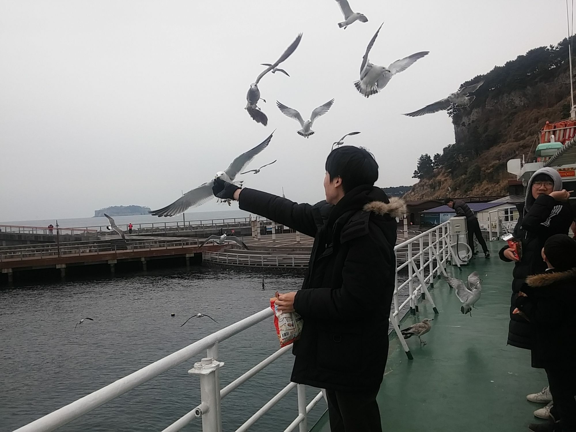 Seom Story Pension Seogwipo Bagian luar foto